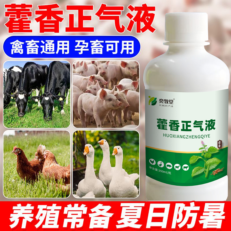 藿香正气液
